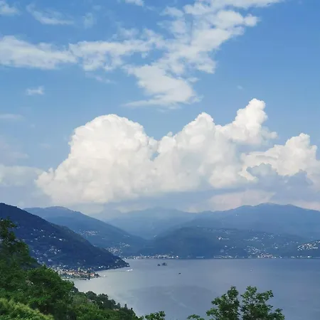 Il Vigneto 4*
