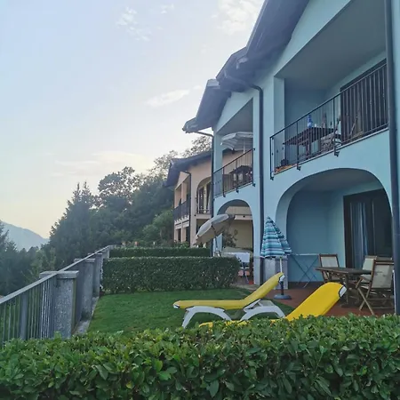 Il Vigneto