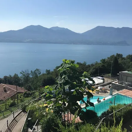 Il Vigneto