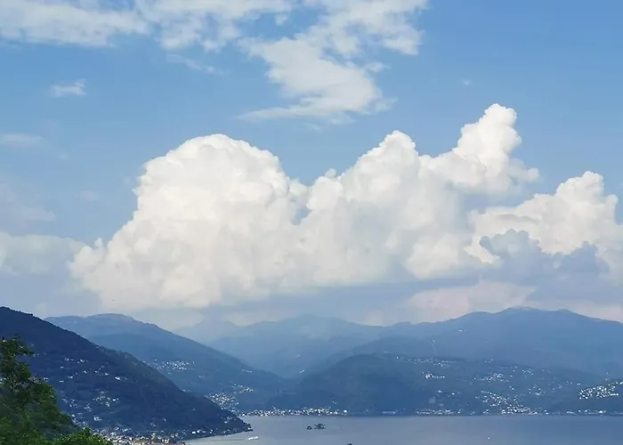 Il Vigneto 4*