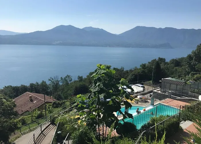 Il Vigneto